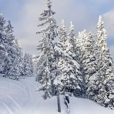 Almhaus-klippitz Casa vacanze Klippitztorl