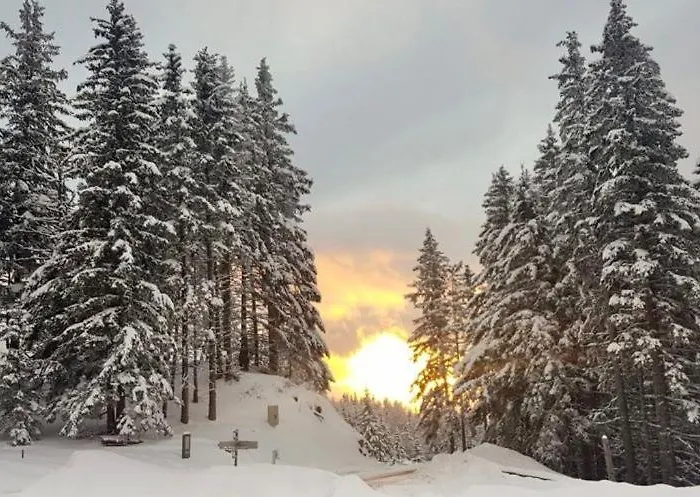 Hébergement de vacances Almhaus-klippitz *