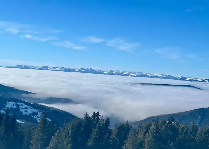 Hébergement de vacances Almhaus-klippitz
