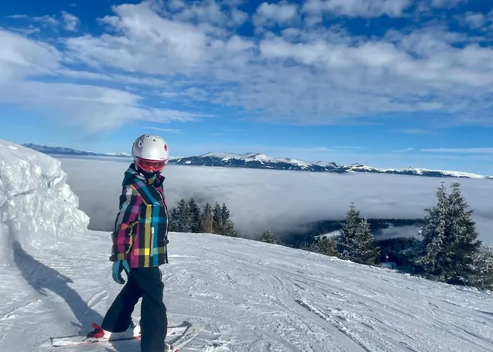 Hébergement de vacances Almhaus-klippitz *