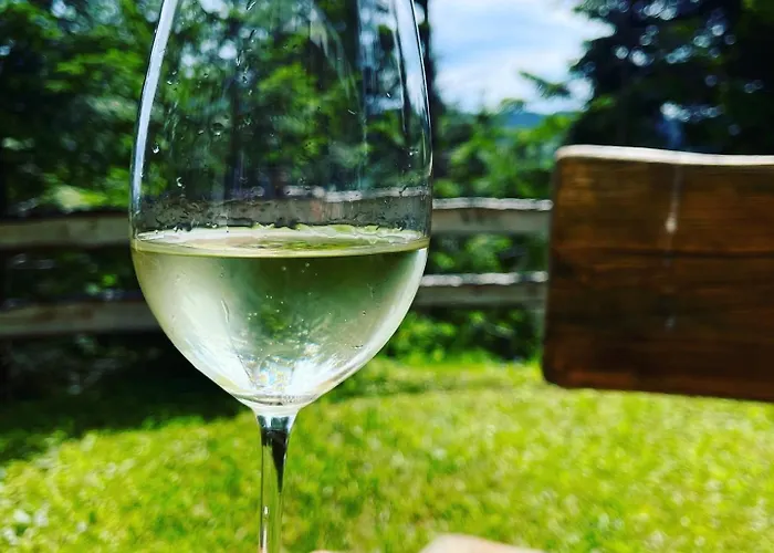 Almhaus-klippitz * Klippitztorl