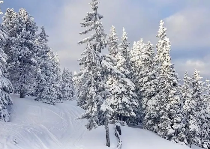 Almhaus-klippitz Feriehus Klippitztorl